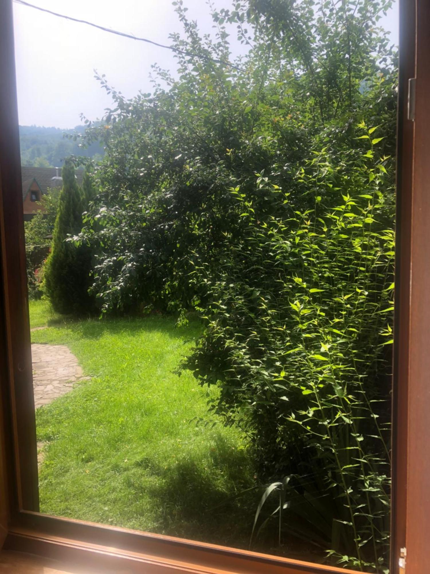 Котедж Гірський Jaremtsje Buitenkant foto